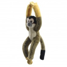 Squirrel Monkey - Wilberry Canopy Climbers